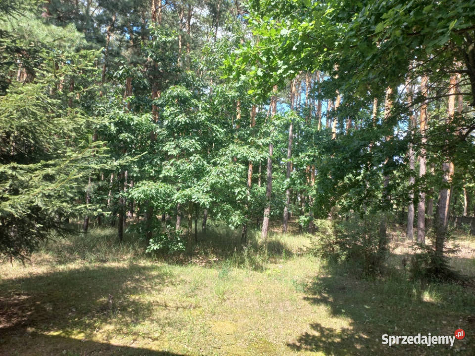 Sprzedam dom 145 m2 na działce o powierzchni Tomaszów Mazowiecki