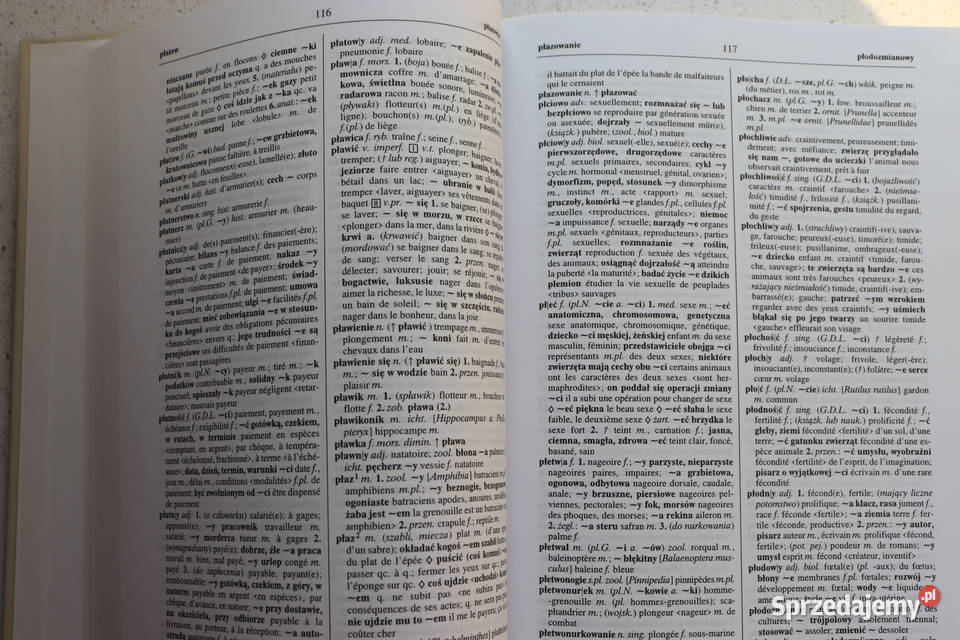 Wielki Słownik FrancuskoPolski Wiedza Powszechna Warszawa