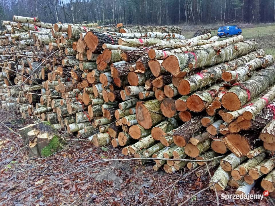 Różne rodzaje drewna opałowegokominkowego Mikołajki