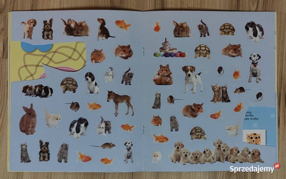 Dzieci zwierząt Zestaw książek z naklejkami i Warszawa