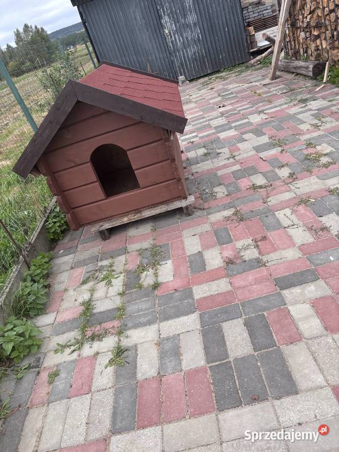 Buda psa Święta Katarzyna sprzedam