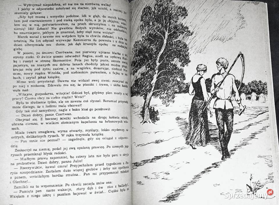 Dewajtis Część 1 Maria Rodziewiczówna Chełm