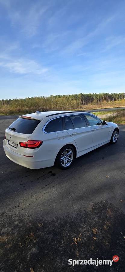 BMW Seria 5 BMW Seria 5 520D Kombi grudzień 2016 nieuszkodzony Sulechów sprzedam