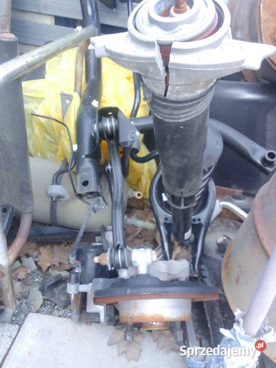 Cupra Fromentor Błotniki Pstrągowa sprzedam