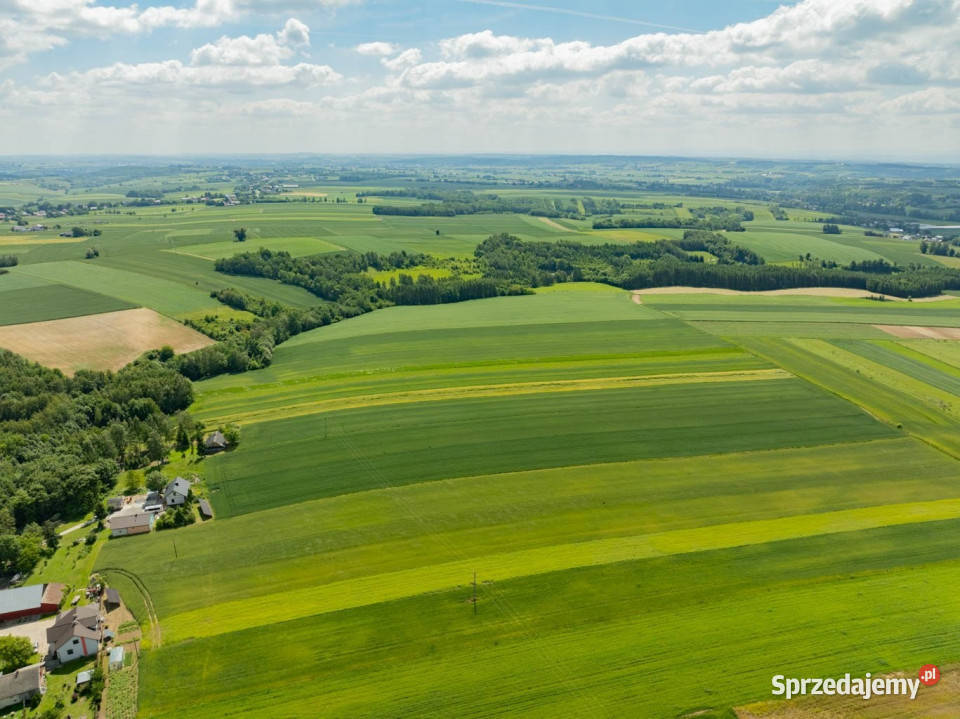 Sielska nieruchomość w otoczeniu natury 220 HA Grzegorzowice Wielkie