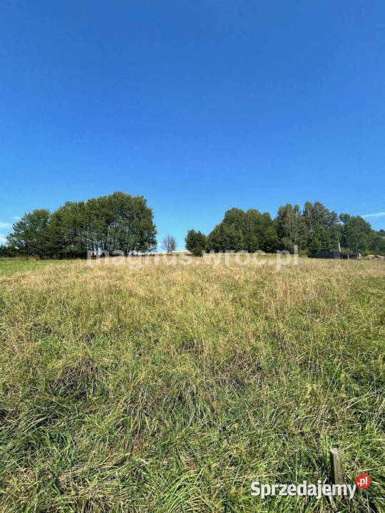 Widokowa działka budowlana na lekkim stoku Głuszyca