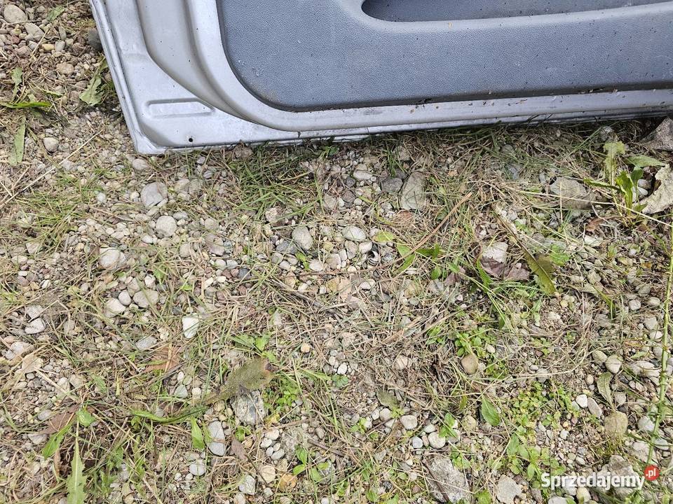 Drzwi skoda Fabia prawy przód osobowe