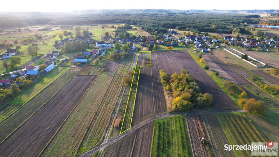 Sprzedam działka 4011m2 Lipowiec 27zł/m2 Grunty i działki sprzedam