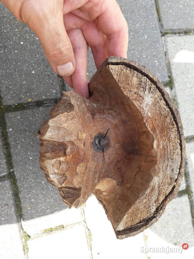 Rzeźba Duch Drzewa Warszawa