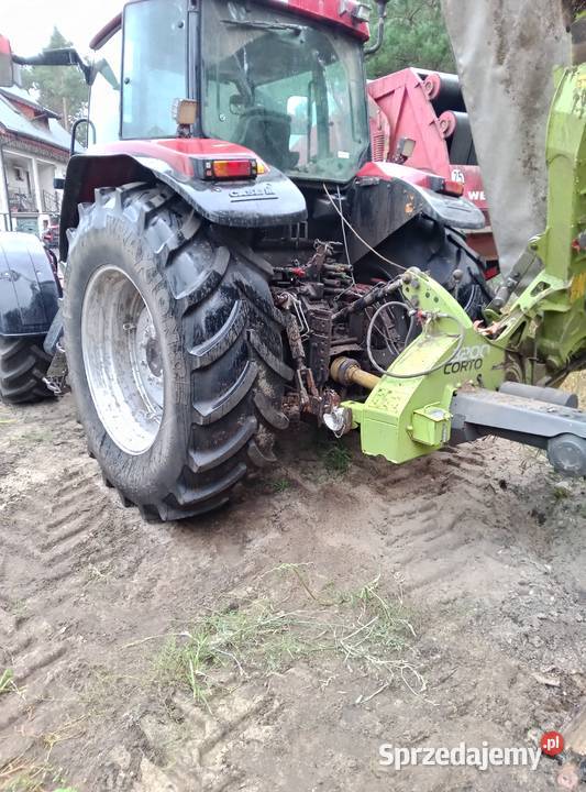 Case mx Chełmno