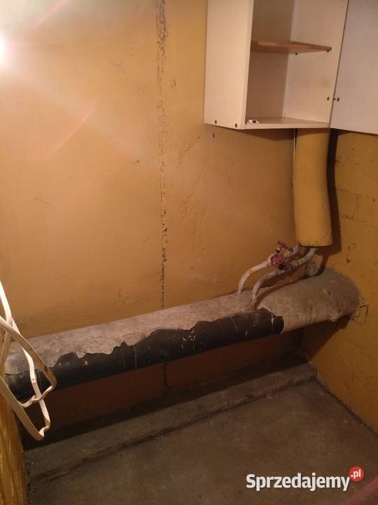 Wynajmę piwnicę w bloku Ogińskiego 5357 Gorzów lubuskie Gorzów Wielkopolski