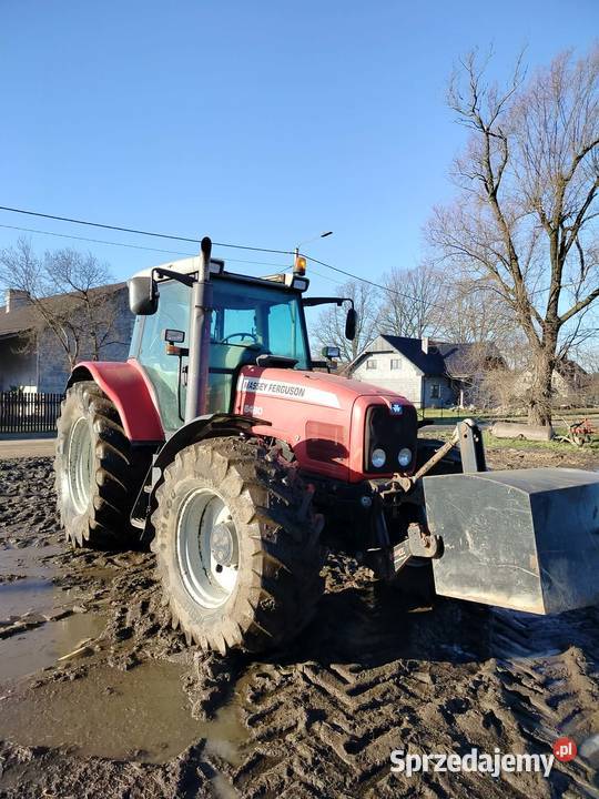 Sprzedam Ciągnik Massey Ferguson 6489 Kocina sprzedam