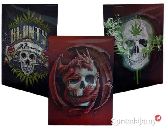 Obraz 3D Trójwymiarowy z Czachą z Ramką Plakat