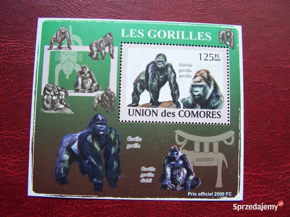Komory 2009 MNH Fauna Goryle Nakład 2500 Kolekcje Tychy