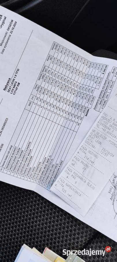 117 org Lakier Bez problemu olejowego Leon Chełm