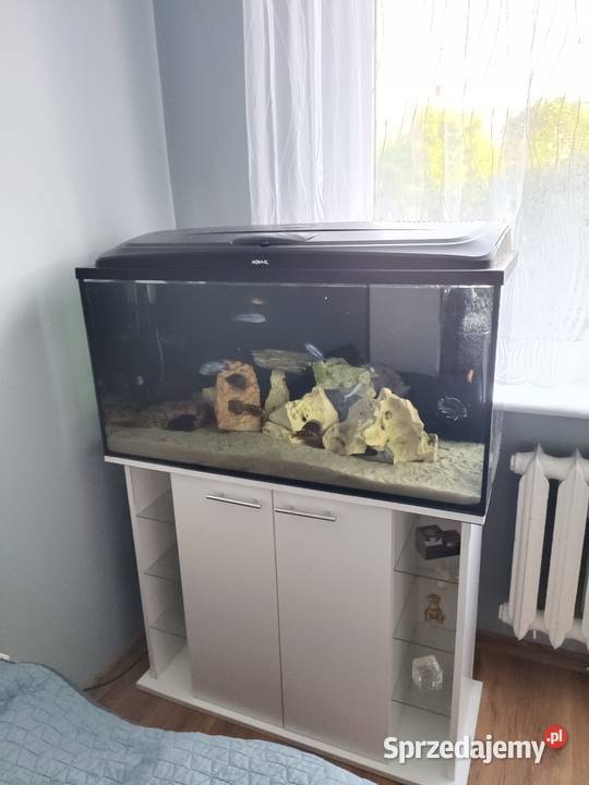 Sprzedam akwarium Akcesoria dla zwierząt Poznań sprzedam