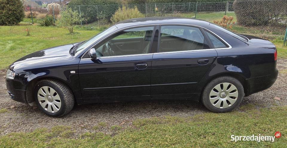Audi A4 B7 20067 Diesel 19 TDI Strzyżów sprzedam