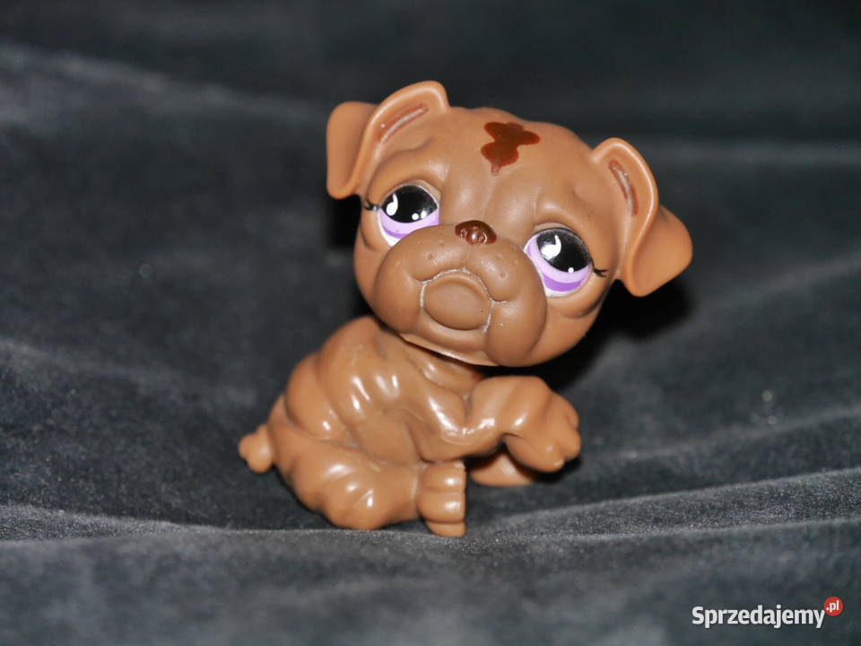Hasbro Littlest Pet Shop kolekcjonerska figurka Wrocław