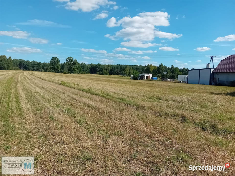 Sprzedaż domu 156m2 Daleszyce 4800m2