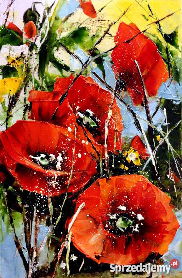 Maki Obraz olejny kwiaty Warszawa