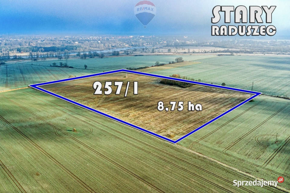 Na sprzedaż grunty orne RIIIa 875 ha Stary Raduszec