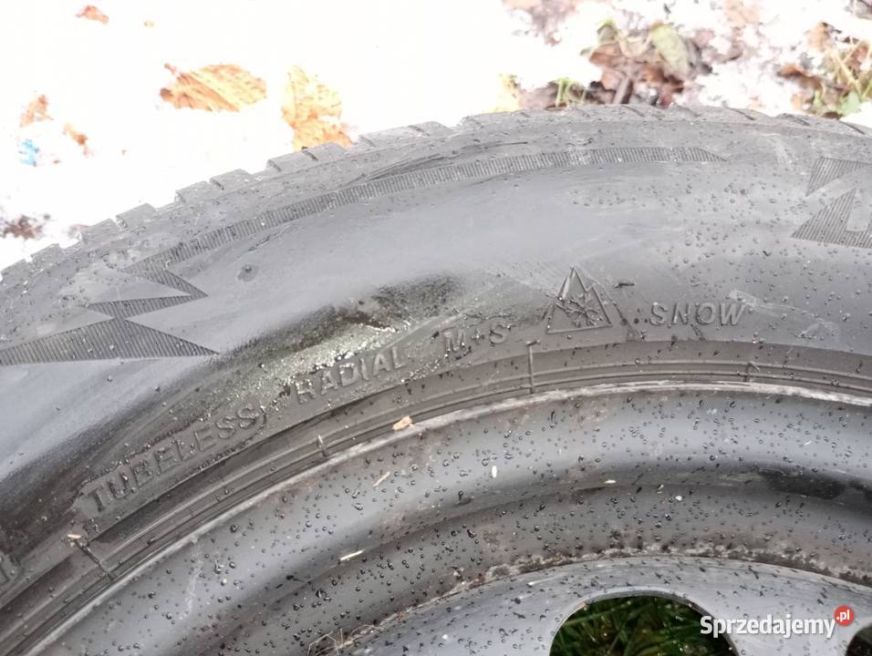 Opony z felgami BRIDGESTONE 2056016 Końskie