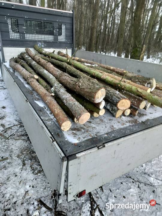 stemple budowlane sosna