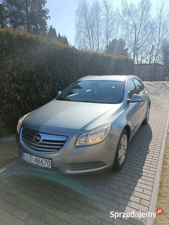 Opel Insignia nieuszkodzony Łęczna