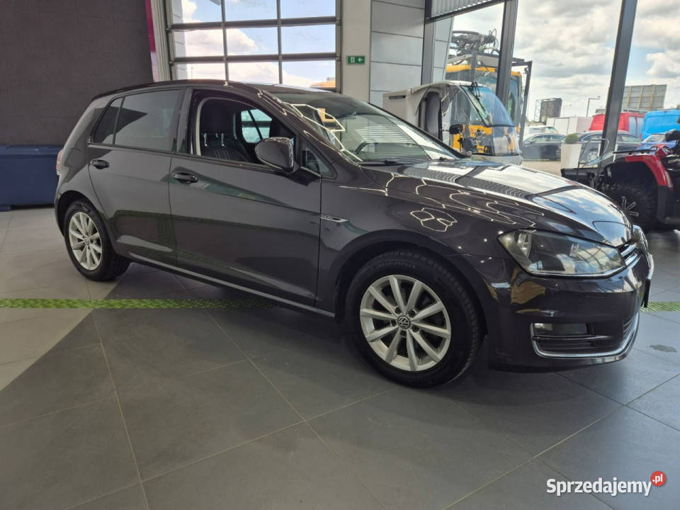 Volkswagen Golf Volkswagen Golf 16 TDI Łaziska Górne