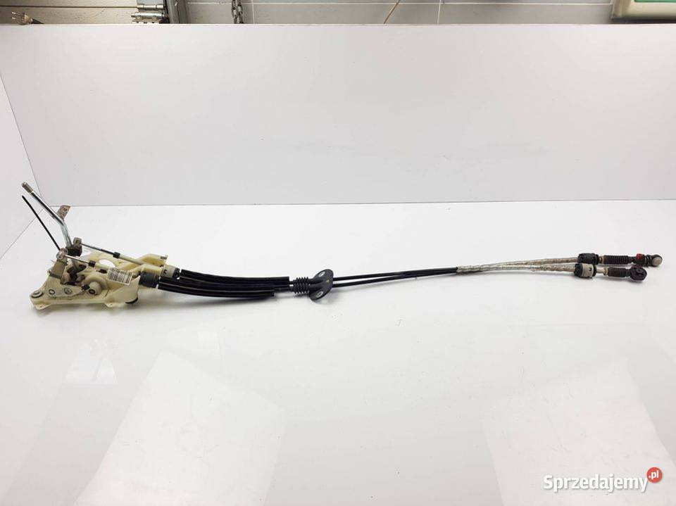 LINKI BIEGÓW 6M5R7E395AF FOCUS osobowe kujawsko-pomorskie Lipno sprzedam