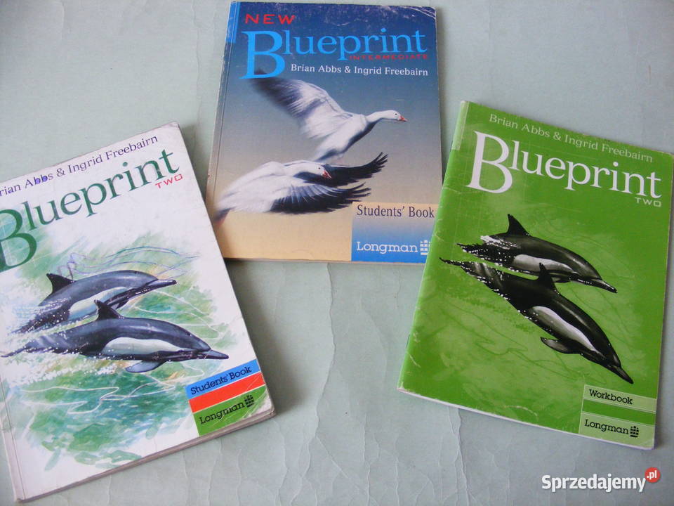 Blueprint TWO Workbook Students Book dolnośląskie Oborniki Śląskie