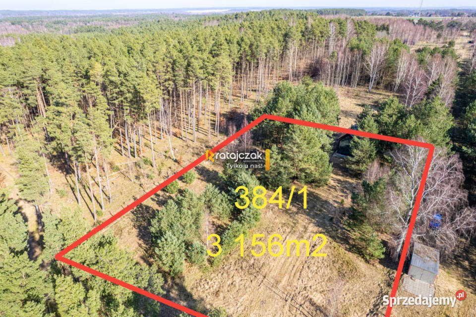 Dom wolnostojący Sasino Stara Cegielnia 40m2 Nieruchomości