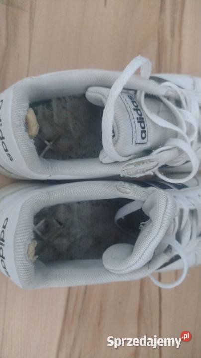 Zestaw buty Vans Adidas zimówki walkx i perfumy Obuwie Żywiec