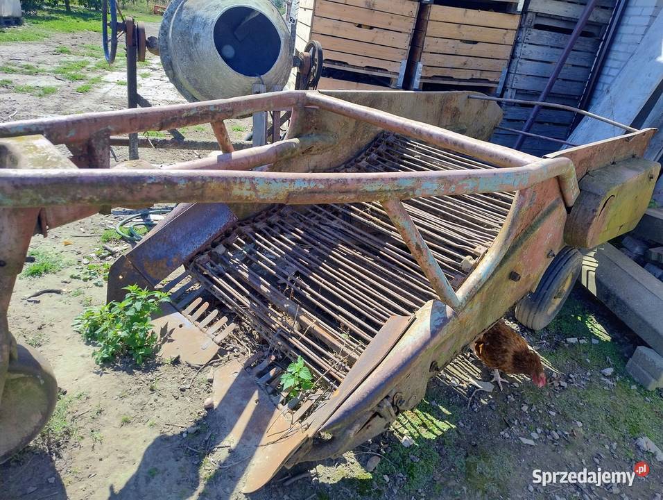 kopaczka elewatorowa Borek