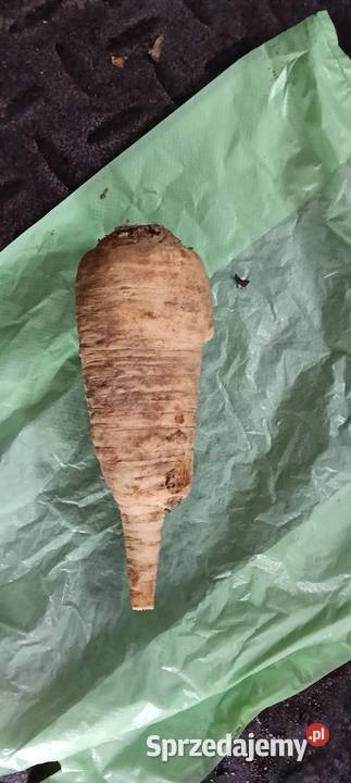 Warzywa lubelskie Chełm