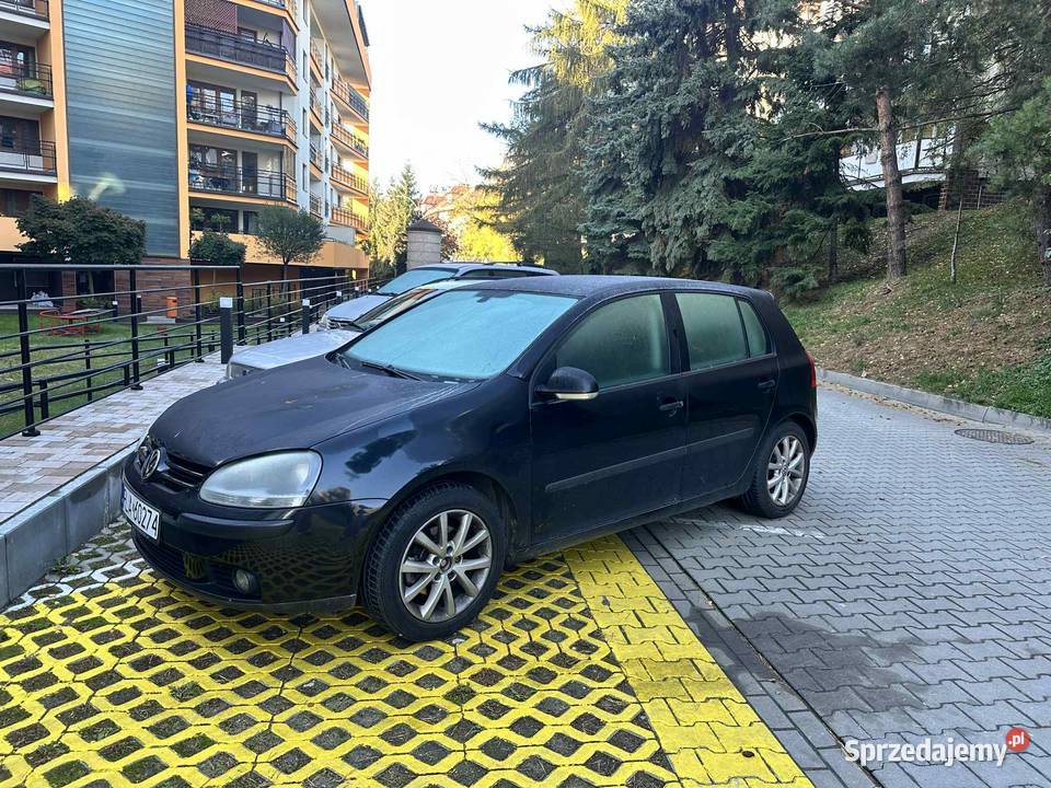 Volkswagen golf 2004 mały przebieg