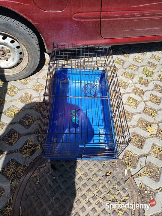 Sprzedam to co na zdjęciach na priv Gliwice