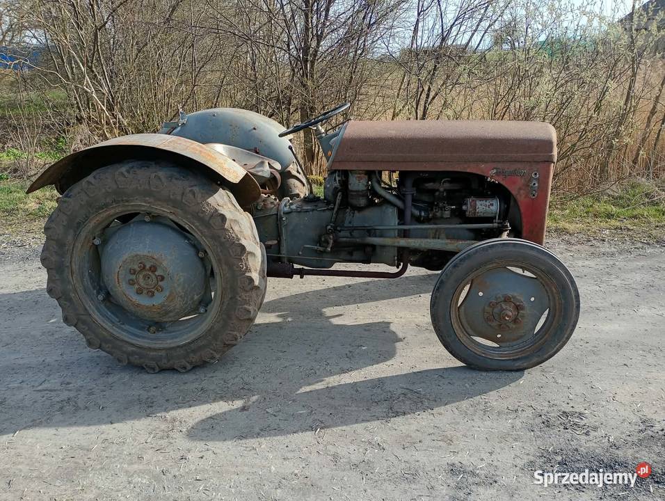 Sprzedam Fergusona TED 20 Gniezno