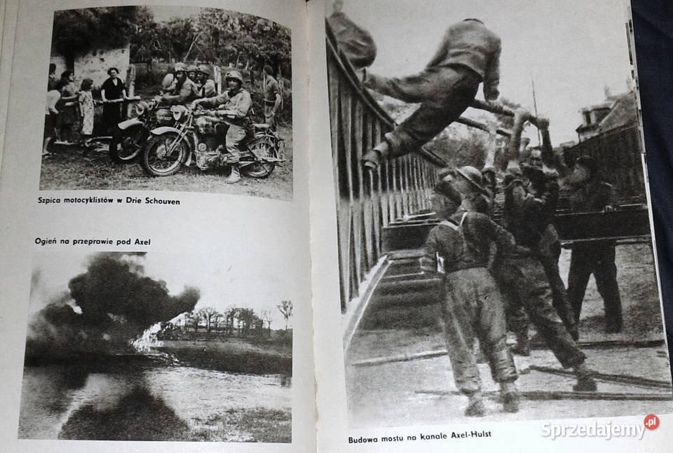 Axel Franciszek Skibiński lubelskie Chełm sprzedam