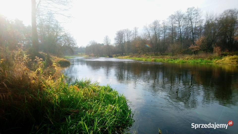 Sprzedam działkę 4828m2 Wkrą z prawem zabudowy utwardzona Sprzedaż mazowieckie Popielżyn-Zawady