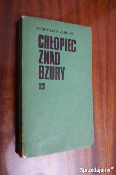 Ferdynand Zamojski Chłopiec znad Bzury lubelskie Parczew