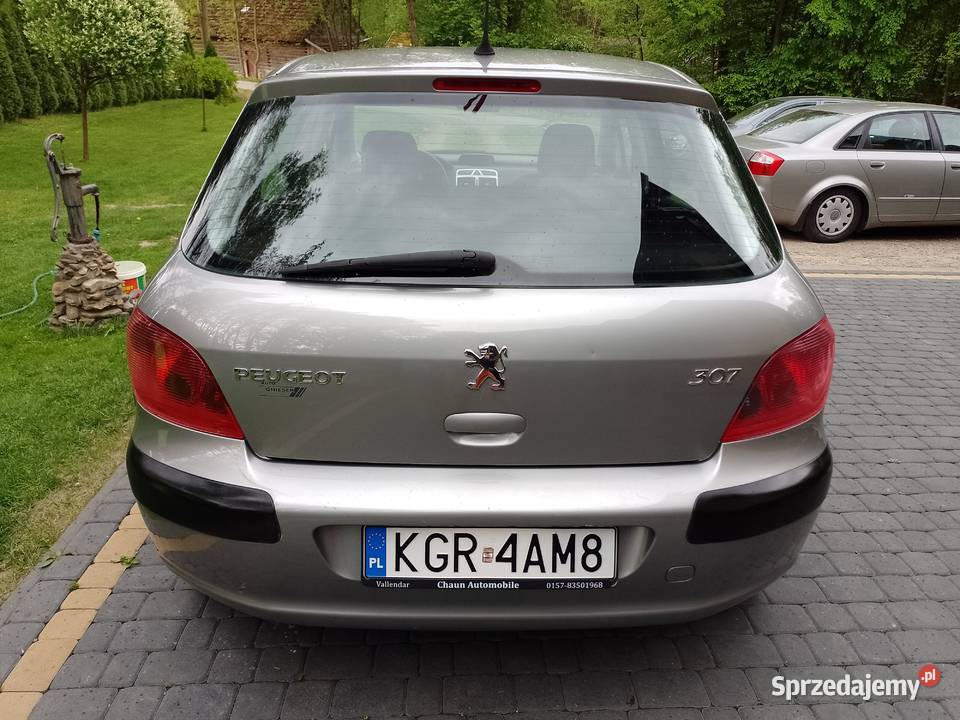 Peugeot 307 2005r Benzynka 1400 16V Jasło