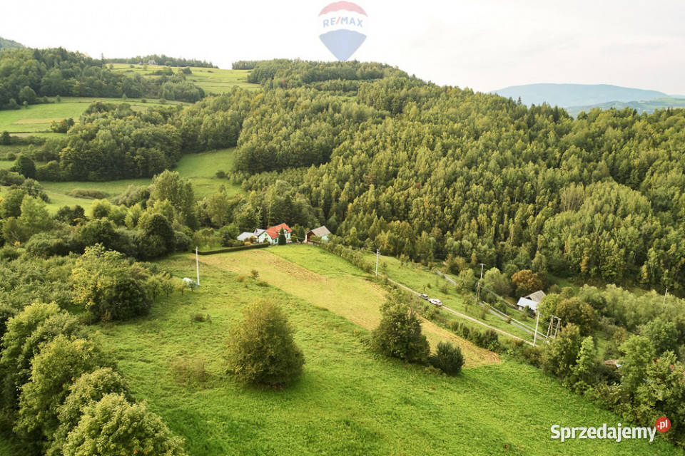 Działka budowlana 43 ary Ochotnica Dolna Sprzedaż małopolskie