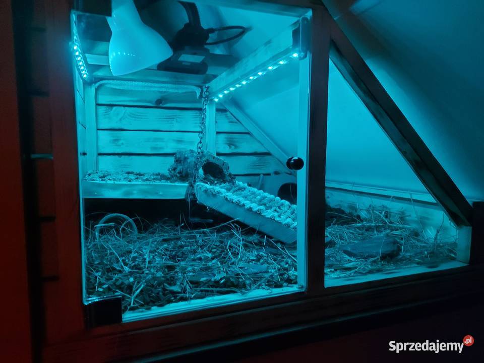 Terrarium na poddaszeskośne żółwia gekona węża opolskie