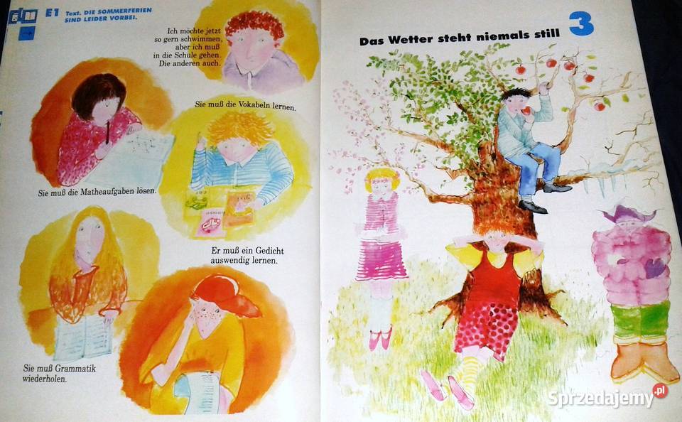 Der die das 6 Podręcznik M Czerwińska L Halej miękka Chełm