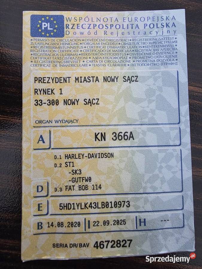 Harley Fab Bob 117 Nowy Sącz