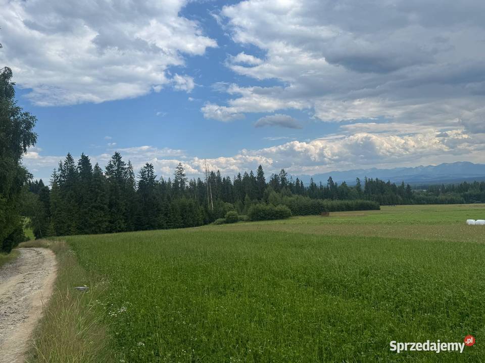 urocza działka budowlana 4200m2 Jabłonka