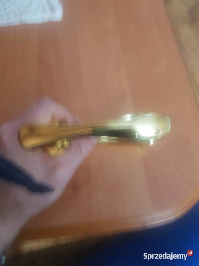 Nowa klamka pokojowa do drzwi Katowice