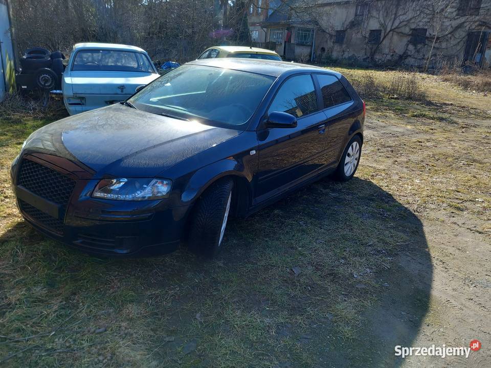 Audi A3 16 Mpi lift 3 drzwi A3 Pniewy