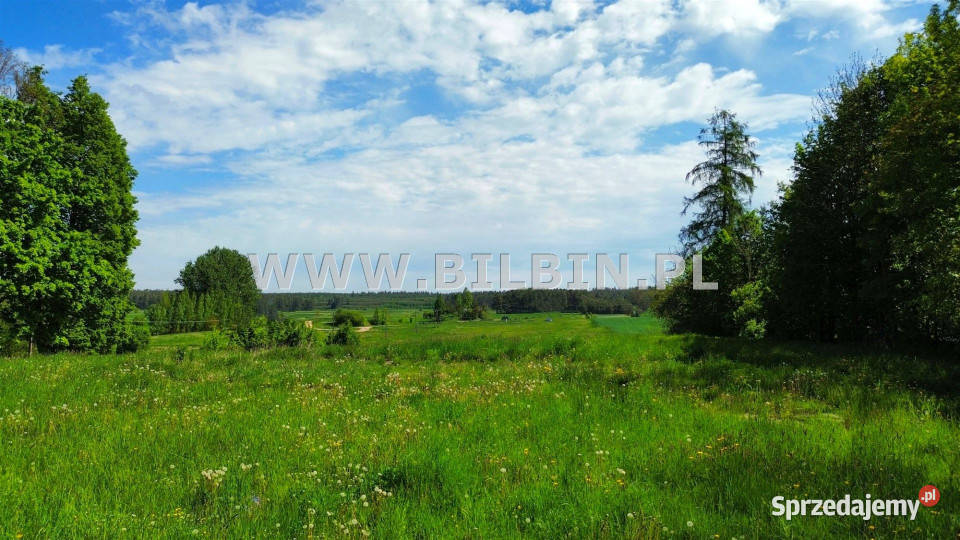 Grunt 13723m2 Pijawne Ruskie